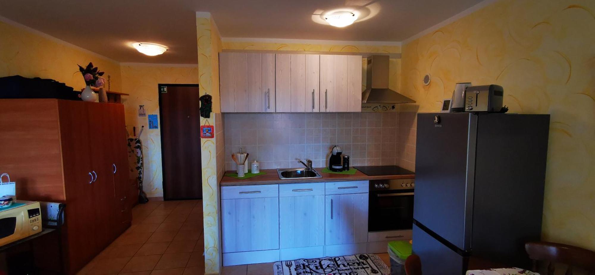 Studio Apartment Lela Liznjan Exterior photo